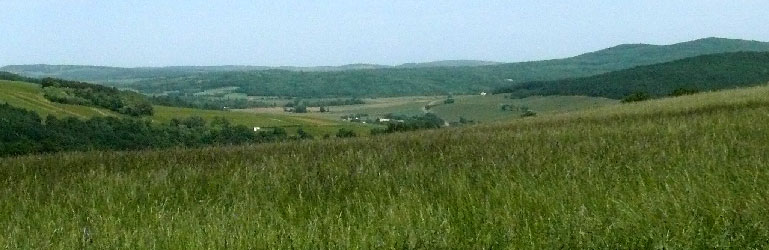 Vue du Mâconnais